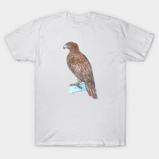 Wedge-tailed Eagle T-Shirt